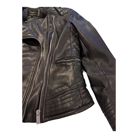 Zara Trafaluc Moto Jacket - Picture 2 of 5